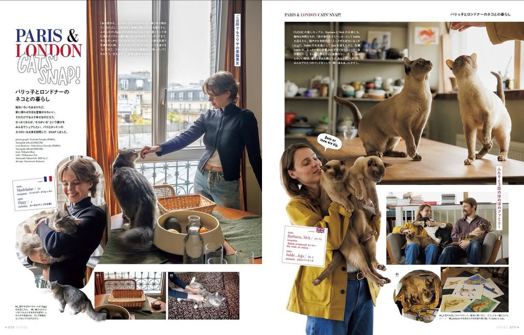 FUDGE #269: All About Cats