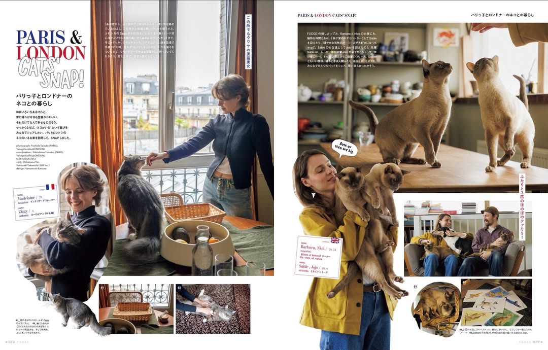 FUDGE #269: All About Cats