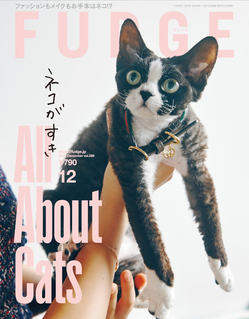 FUDGE #269: All About Cats